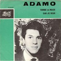 Adamo - Tombe la neige cover