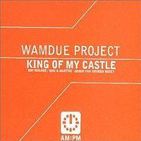 Wamdue Project - King Of My Castle cover