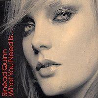 Sinead Quinn - What You Need cover