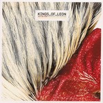 Kings Of Leon - Sex On Fire cover