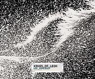 Kings Of Leon - Use Somebody cover