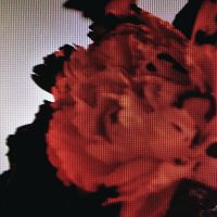 John Legend - All of Me cover