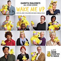 Gareth Malone's All Star Choir - Wake Me Up (Children in Need 2014) cover