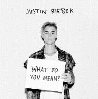 Justin Bieber - What Do You Mean? cover