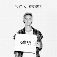 Justin Bieber - Sorry cover