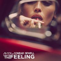 Avicii vs Conrad Sewell - Taste The Feeling cover
