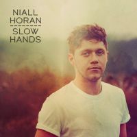 Niall Horan - Slow Hands cover
