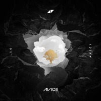 Avicii ft. Rita Ora - Lonely Together cover