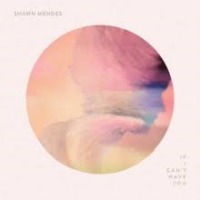 Shawn Mendes - If I Can't Have You cover