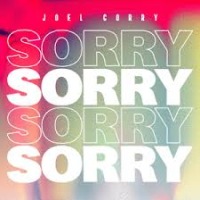 Joel Corry - Sorry cover