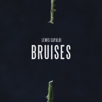 Lewis Capaldi - Bruises cover