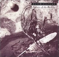 David Sylvian - Orpheus cover