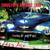 Christoph Spendel Trio - Beyond Words cover