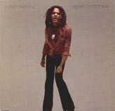 Lenny Kravitz - Always On The Run cover