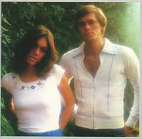 The Carpenters - Desperado cover