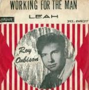 Roy Orbison - Working For the Man cover