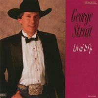 George Strait - We're Supposed To Do That Now and Then cover