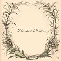 The Last Bison - Switzerland cover