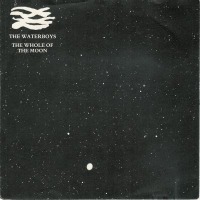 The Waterboys - The Whole of the Moon cover