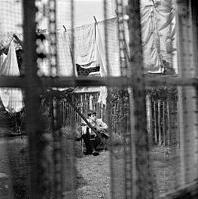 Paul McCartney - This never happened before cover