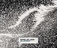 Kings of Leon - Use Somebody cover