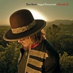 Zucchero - Spicinfrin Boy cover