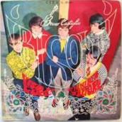 Bisonti - Richiamo d'amore cover