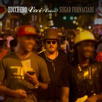 Zucchero - Voci cover
