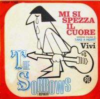 The Sorrows - Mi si spezza il cuore cover
