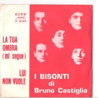 Bisonti - La tua ombra cover