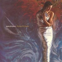 Tears for Fears - Woman in Chains cover