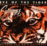 Survivor - Eye Of The Tiger cover