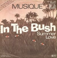 Musique - In The Bush cover
