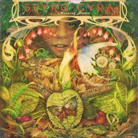 Spyro Gyra - Morning Dance (instr) cover