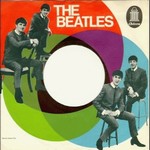 The Beatles - She Loves You cover