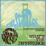 Scott McKenzie - San Francisco cover