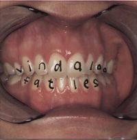 Fat Les - Vindaloo cover