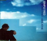 Simply Red - The Air That I Breathe cover