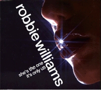 Robbie Williams - It's Only Us cover