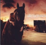 Red Hot Chili Peppers - Dani California cover