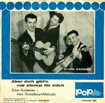 Nilsen Brothers - Aber Dich gibts nur einmal für mich cover