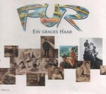 Pur - Ein graues Haar cover