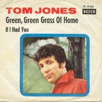 Tom Jones - Green Green Grass Of Home cover