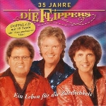 Die Flippers - Das Tagebuch cover