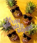 The Four Tops - Loco In Acapulco cover