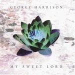 George Harrison - My Sweet Lord cover