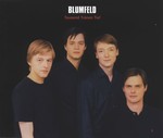 Blumfeld - Tausend Tränen tief cover