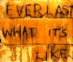 Everlast - What It's Like cover