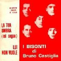 Bisonti - La tua ombra cover