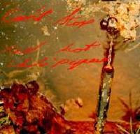 Red Hot Chili Peppers - Can't Stop cover